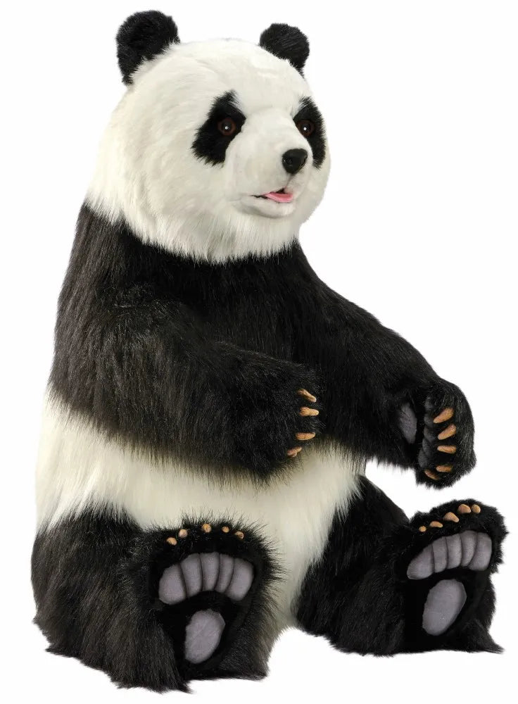 (A) Panda Sitting 150cmH
