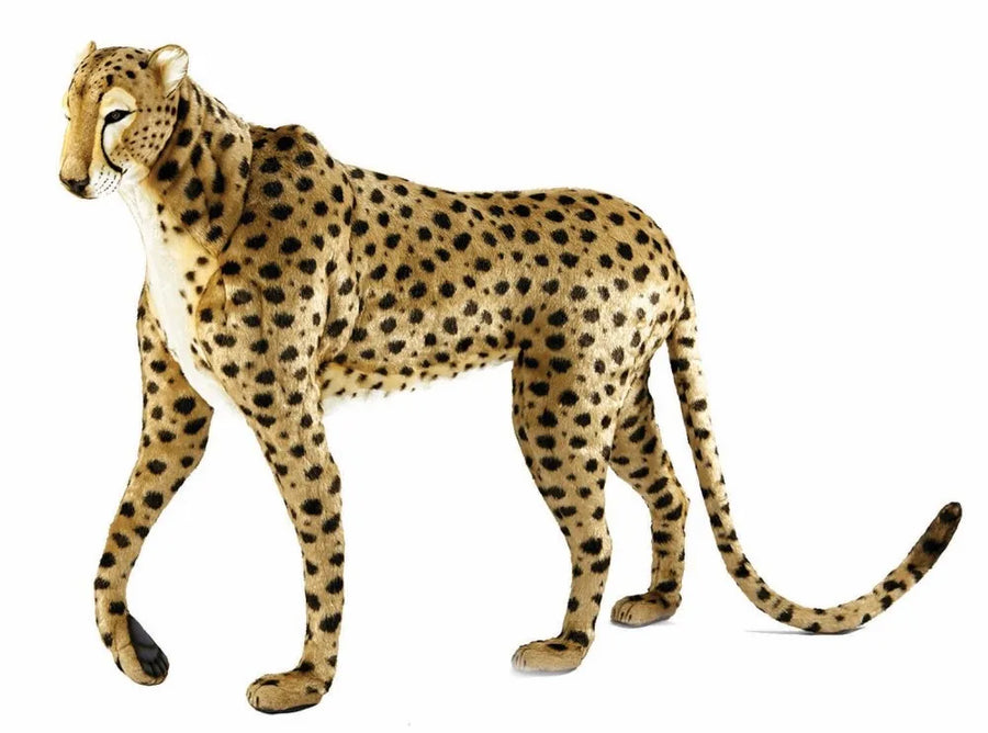 (A) Cheetah Jacquard Standing 100cmH