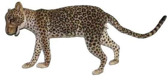 (A) Leopard Standing 70cmH