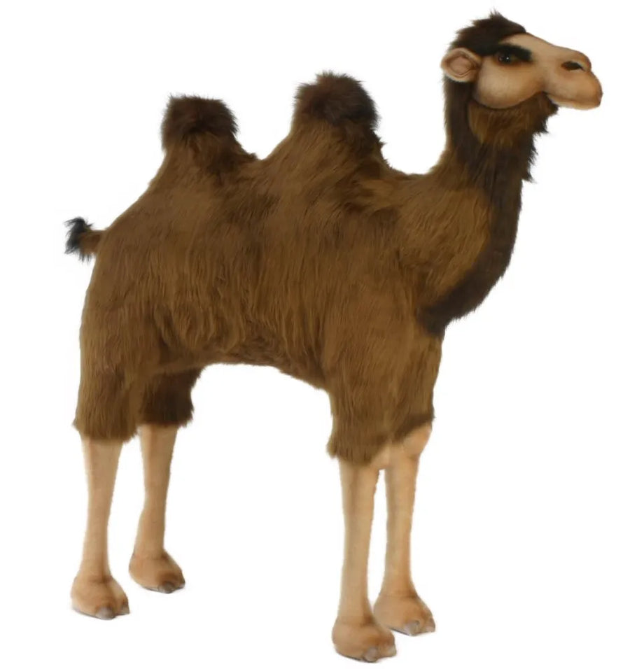 Camel 100cmL