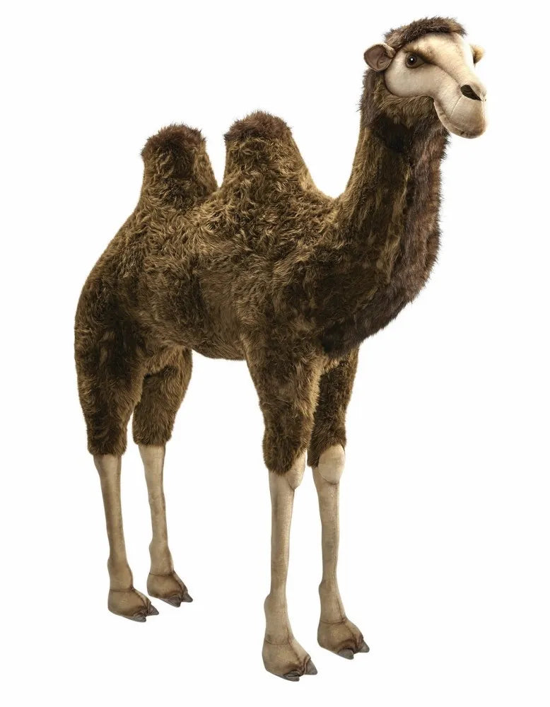 Bactrian Camel 170cmH