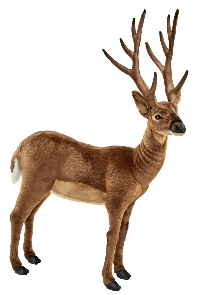 White Tail Deer 105cmH
