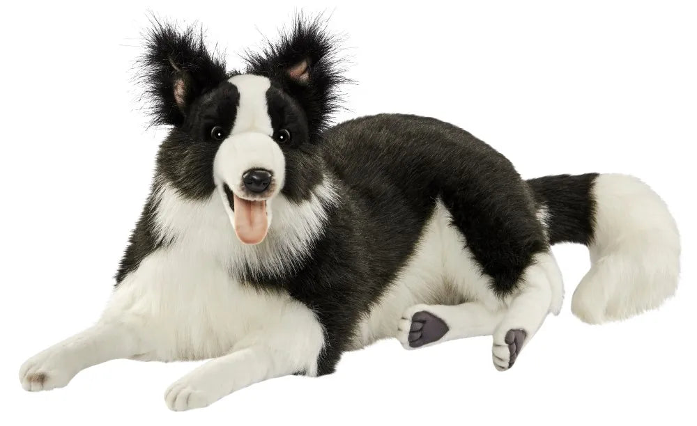 Border Collie Laying 32cmH