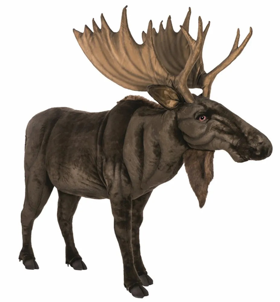 Moose 187cmH