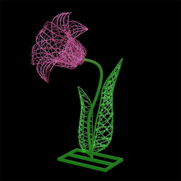 Daylily Flower
